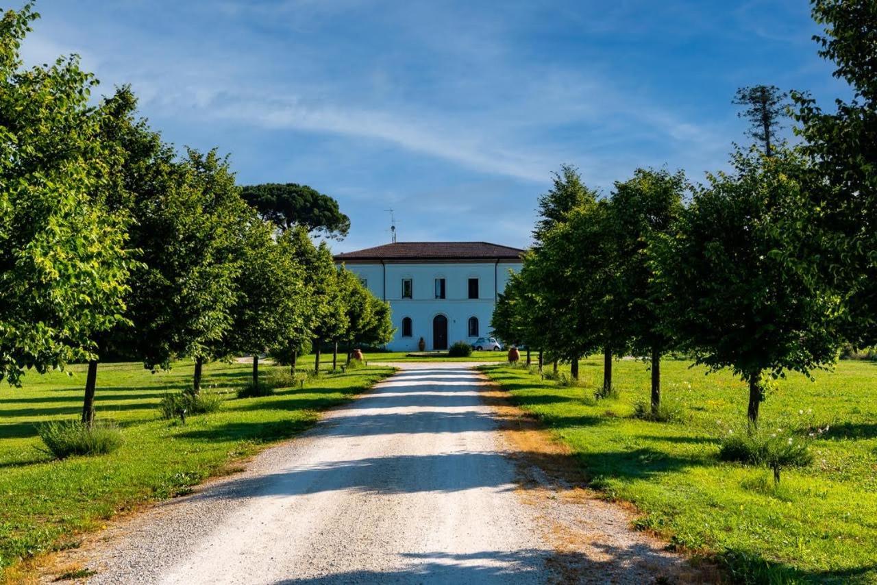 Villa Archi ฟาเอนซา ภายนอก รูปภาพ