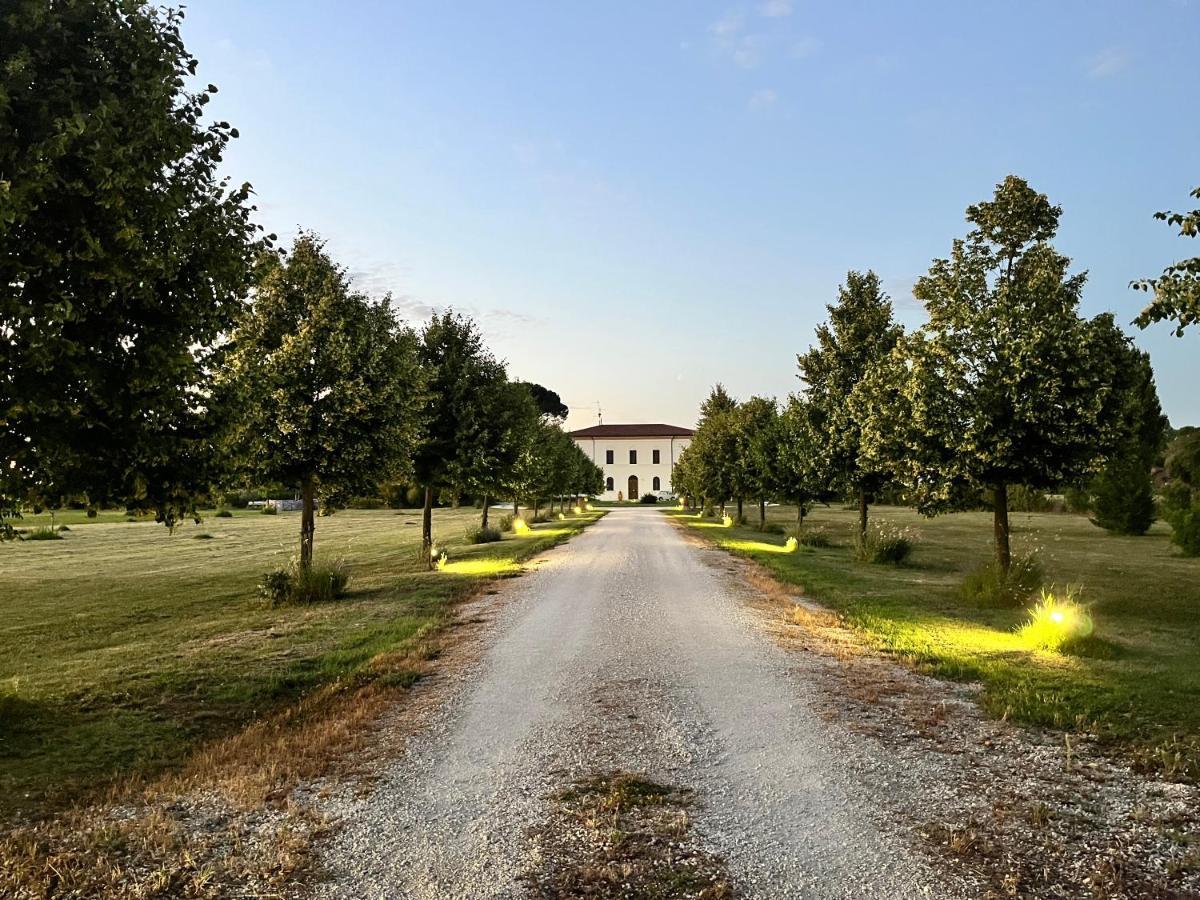 Villa Archi ฟาเอนซา ภายนอก รูปภาพ