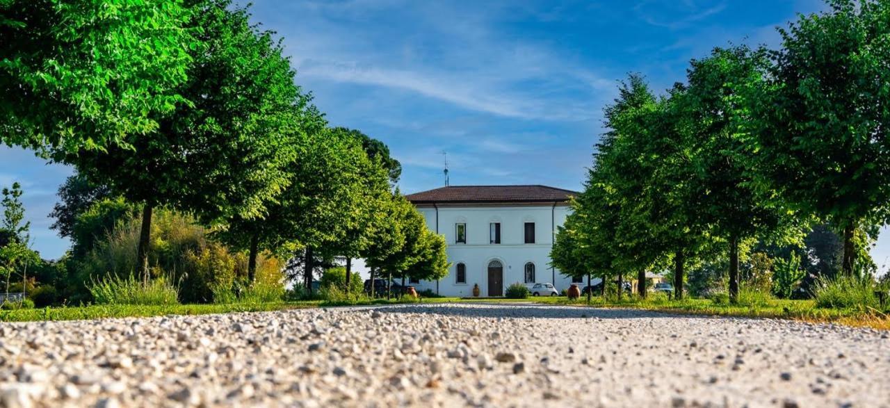 Villa Archi ฟาเอนซา ภายนอก รูปภาพ